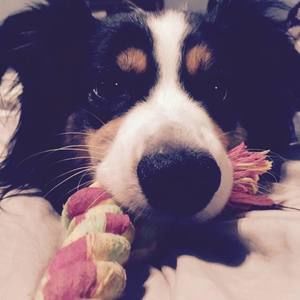 Meet your Posher, Jenifer