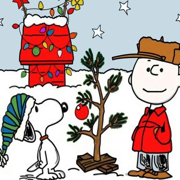 Meet your Posher, Laura - Picture 1 of 1