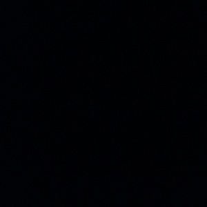 Meet your Posher, Whitney