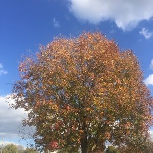 Meet your Posher, Ruby