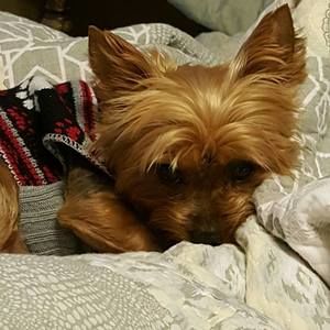 Meet your Posher, Gina