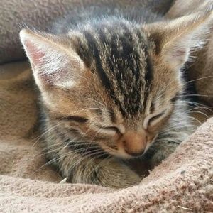 Meet your Posher, MizJay