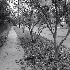 Meet your Posher, Isabel