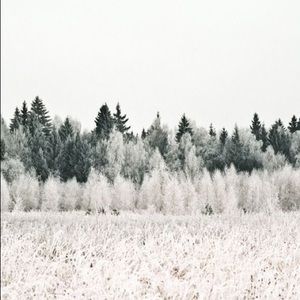 Meet your Posher, Celeste