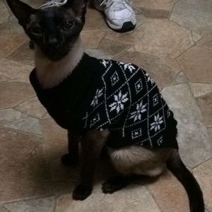 Meet your Posher, Meredith