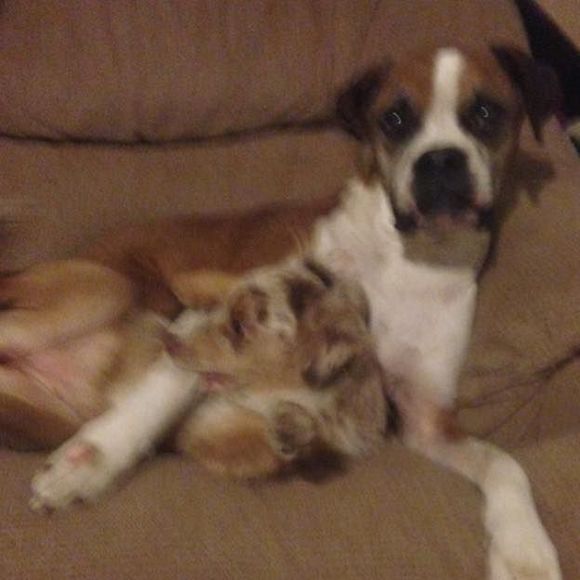 Meet your Posher, Dianne