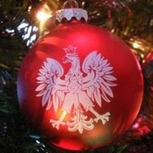 Meet your Posher, Alex  ola