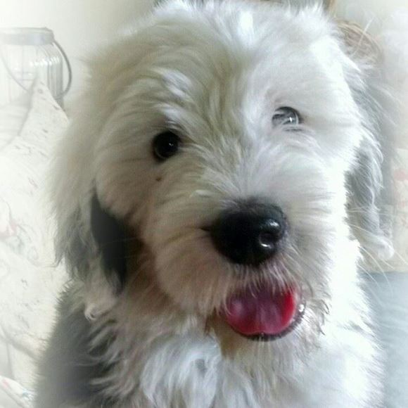 Meet your Posher, Tracy - Picture 1 of 1