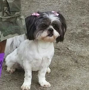 Meet your Posher, Lanika