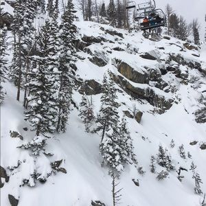 Meet your Posher, Rowan