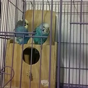 Meet your Posher, Dulce