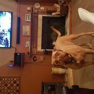 Meet your Posher, Darrick