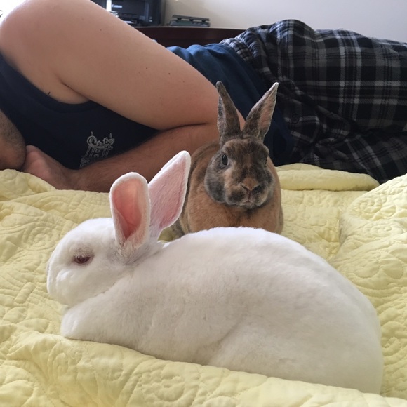 Meet Your Posher, Kali! - Picture 4 of 4