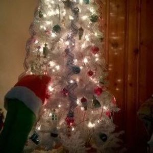 Meet your Posher, Pam