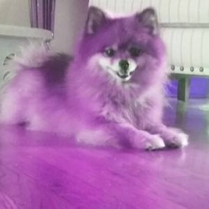 Meet your Posher, Georgia