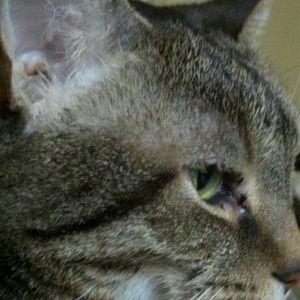 Meet your Posher, Hillary