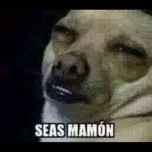 Meet your Posher, Erik