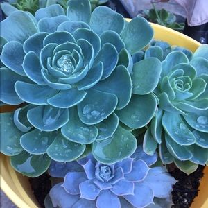 Meet your Posher, Beth