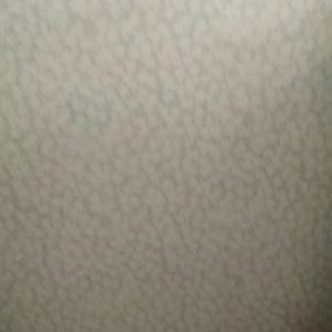 Meet your Posher, Lizzy