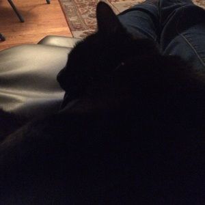 Meet your Posher, Sandy