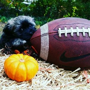 Meet your Posher, Lillian