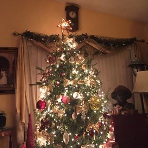 Meet your Posher, Phyllis