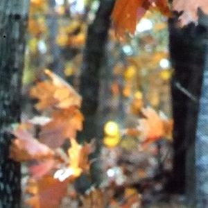 Meet your Posher, Mariah