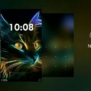 Meet your Posher, Ann