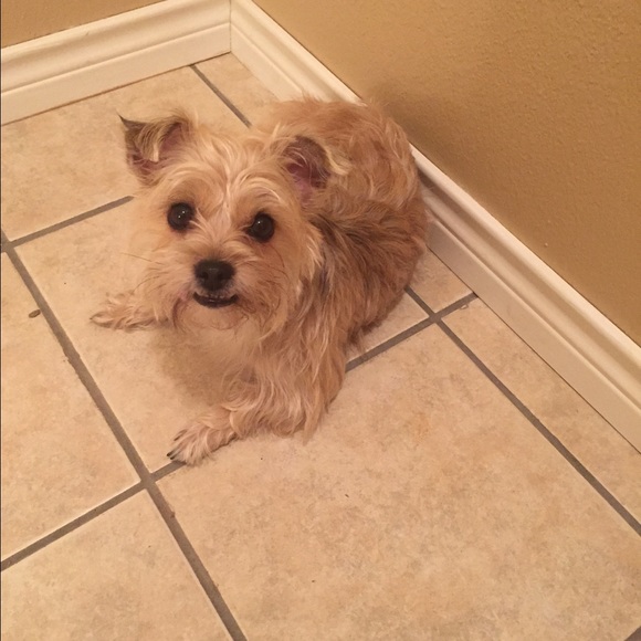 Meet your Posher, Brittany