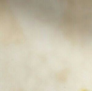 Meet your Posher, Ericka