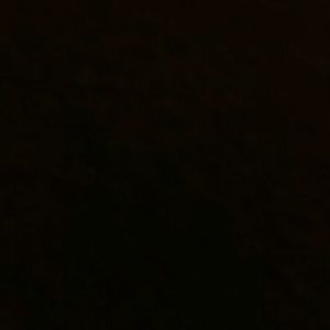 Meet your Posher, Daisy