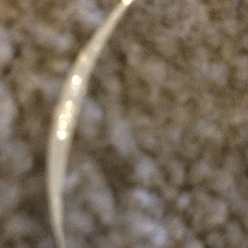 Sterling Silver Fresh Water Pearl Earring - Picture 3 of 3