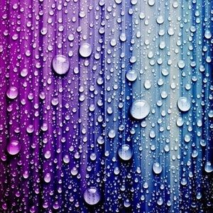 Meet your Posher, Tesa