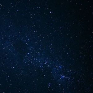 Meet your Posher, Missy