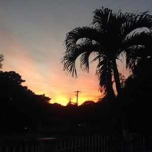 Meet your Posher, Sidney