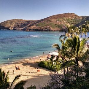 Meet your Posher, Lucy