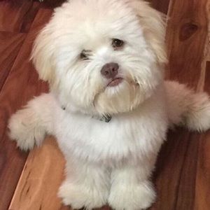 Meet your Posher, Kate