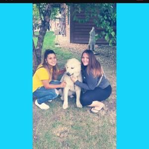 Meet your Posher, Suzanne