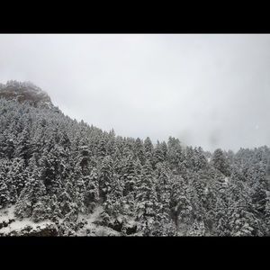 Meet your Posher, Macy