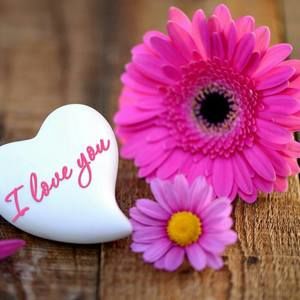 Meet your Posher, Norma