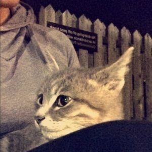 Meet your Posher, Lia