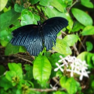 Meet your Posher, Yasmeen