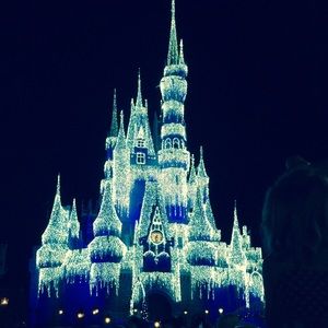 Meet your Posher, Tara