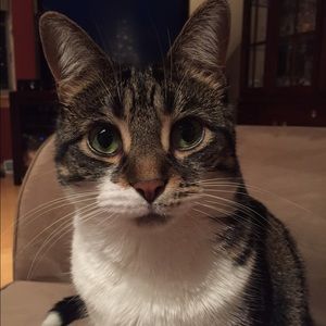 Meet your Posher, Tom