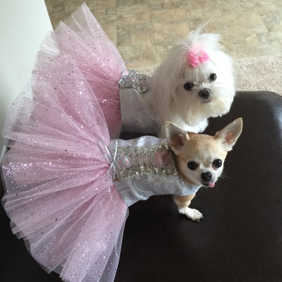 Meet your Posher, Debra