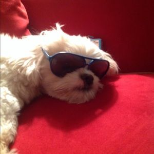 Meet your Posher, Dawn