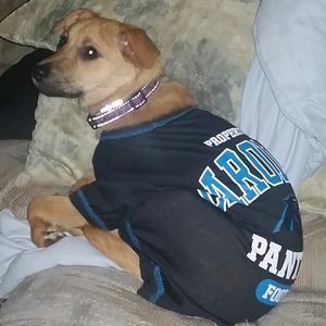 Meet your Posher, Donna