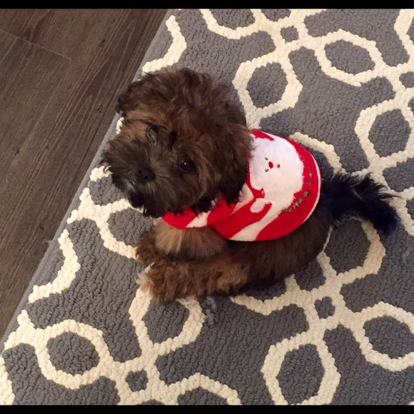 Meet your Posher, Joanna - Picture 1 of 1