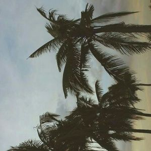 Meet your Posher, Hunter