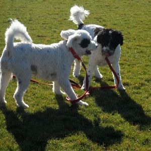 Meet your Posher, Beth